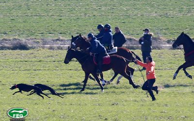 SEGUNDA JORNADA DE CUARTOS DE FINAL