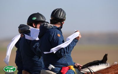 II JORNADA DE OCTAVOS DE FINAL DEL LXXXIV CAMPEONATO DE ESPAÑA DE GALGOS EN CAMPO COPA S.M. EL REY