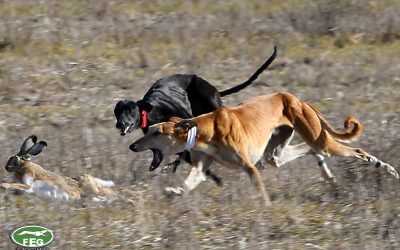 RUBIO DE TRIKI SE PROCLAMA CAMPEÓN DE ESPAÑA EN LA FINAL MÁS RÁPIDA DE LA HISTORIA