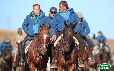 Listado de cargos técnicos acreditados