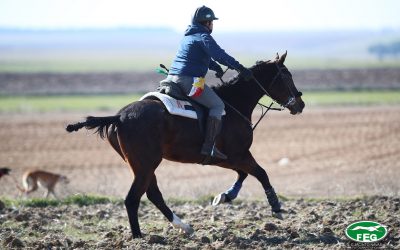 ACREDITACIONES CARGOS TÉCNICOS 2022