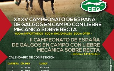 LA LIGA DE LIEBRE MECÁNICA DE LA FEG 2022