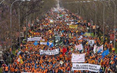 EL 20 M RESULTA TODO UN ÉXITO PARA LOS CAZADORES, QUE LOS MEDIOS DE COMUNICACIÓN NO QUISIERON REFLEJAR