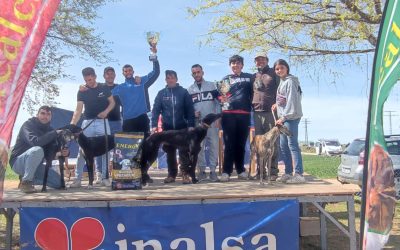 II CARRERA DE LA LIGA DE LIEBRE MECÁNICA: LA GINETA