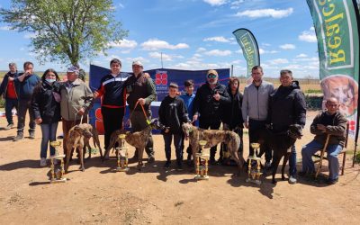 III CARRERA DE LA LIGA DE LIEBRE MECÁNICA: VILLANUEVA DE ALCARDETE
