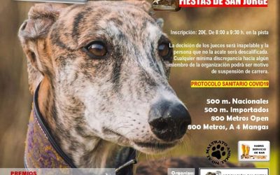 III CARRERA DE LA LIGA DE LIEBRE MECÁNICA DE LA FEG: VILLANUEVA DE ALCARDETE (TOLEDO)