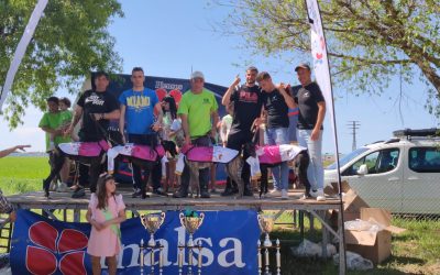 RESULTADOS IV CARRERA DE LA LIGA DE LIEBRE MECÁNICA DE LA FEG: LA GINETA