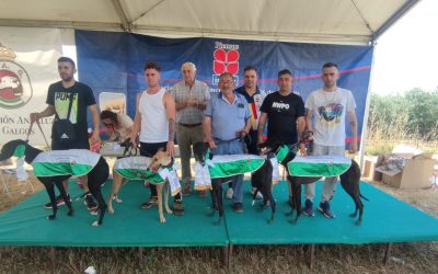 RESULTADOS V CARRERA DE LA LIGA DE LIEBRE MECÁNICA DE LA FEG: FUENTES DE ANDALUCÍA