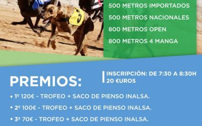 VI CARRERA DE LA LIGA DE LIEBRE MECÁNICA: ARGAMASILLA DE CALATRAVA