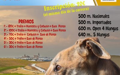 V CARRERA DE LA LIGA DE LIEBRE MECÁNICA: FUENTES DE ANDALUCÍA