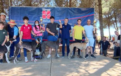 RESULTADOS VI CARRERA DE LA LIGA DE LIEBRE MECÁNICA: ARGAMASILLA DE CALATRAVA