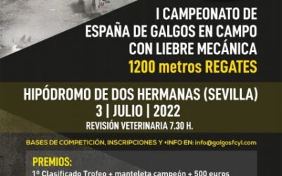 SORTEO DEL I CTO DE ESPAÑA DE GALGOS EN CAMPO CON LIEBRE MECÁNICA. MODALIDAD 1200 REGATES