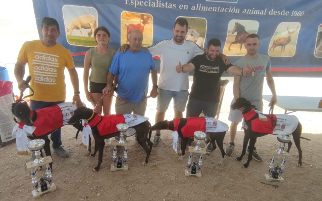 RESULTADOS VII CARRERA DE LA LIGA DE LIEBRE MECÁNICA: LA VILLA DE DON FADRIQUE