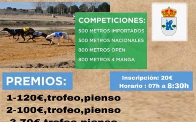VIII CARRERA DE LA LIGA DE LIEBRE MECÁNICA DE LA FEG: CARRASCOSA DE HARO