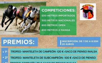 VII CARRERA DE LA LIGA DE LIEBRE MECÁNICA DE LA FEG: VILLA DE DON FABRIQUE