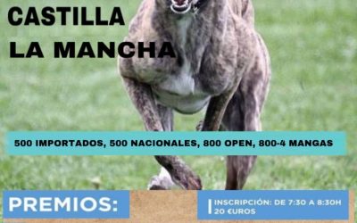 X CARRERA DE LA LIGA DE LIEBRE MECÁNICA DE LA FEG: VILLARUBIA DE LOS OJOS