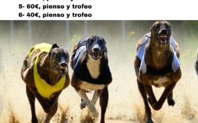 ACLARACIONES SOBRE INSCRIPCIONES XXXV CAMEPONATO DE ESPAÑA DE GALGOS EN CAMPO CON LIEBRE MECÁNICA Y FINAL DE LA LIGA.