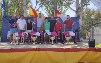 RESULTADOS X CARRERA DE LA LIGA DE LIEBRE MECÁNICA DE LA FEG: VILLARUBIA DE LOS OJOS