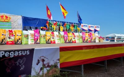 XXXV Campeonato de España de galgos con liebre Mecánica. Villa de Don Fabrique