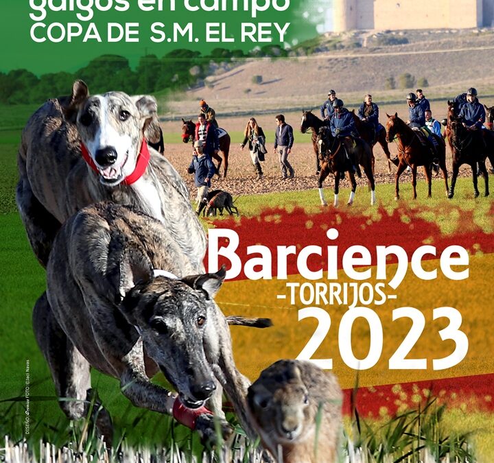 2023. LXXXV CAMPEONATO DE ESPAÑA DE GALGOS EN CAMPO COPA S. M. EL REY. BARCIENCE
