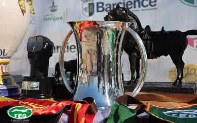 ¿CÓMO LLEGAN LAS 16 GALGAS AL NACIONAL? Analizamos su trayectoria.