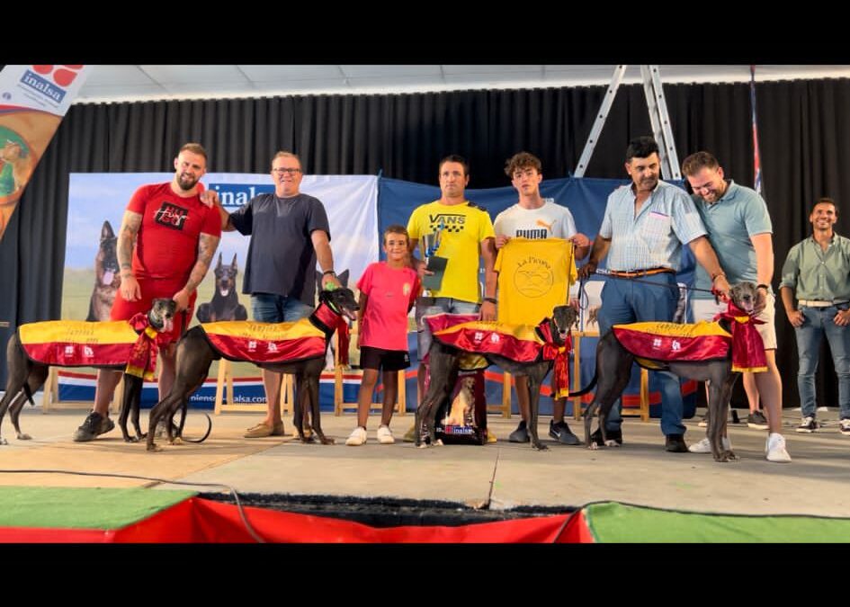 CAMPEONATO DE ESPAÑA DE GALGOS CON LIEBRE MECÁNICA Y FINAL DE LA LIGA DE LA FEG