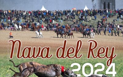 TODA LA INFORMACIÓN DEL NACIONAL DE GALGOS 2024