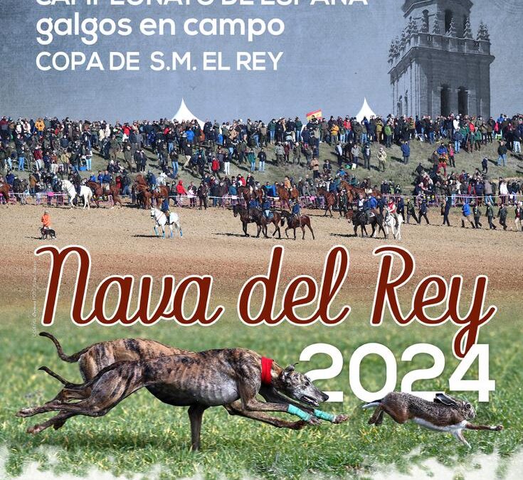 TODA LA INFORMACIÓN DEL NACIONAL DE GALGOS 2024