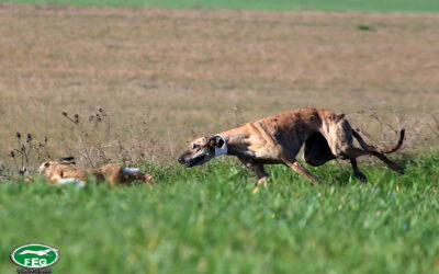 AITANA DE HERMANOS BRAVO ALCANZA LA GLORIA EN LA CUESTA DE LOS PICOS