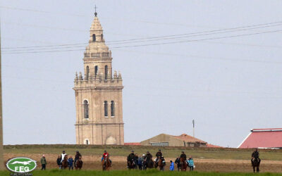 NAVA DEL REY ACOGERÁ LA FASE FINAL DEL NACIONAL DE GALGOS.