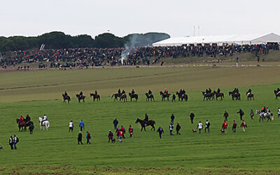 PREVIA FINAL DEL LXXXVI CAMPEONATO DE ESPAÑA DE GALGOS EN CAMPO, COPA S.M EL REY.