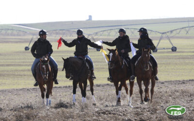 ACREDITACIONES EN CASTILLA LA MANCHA