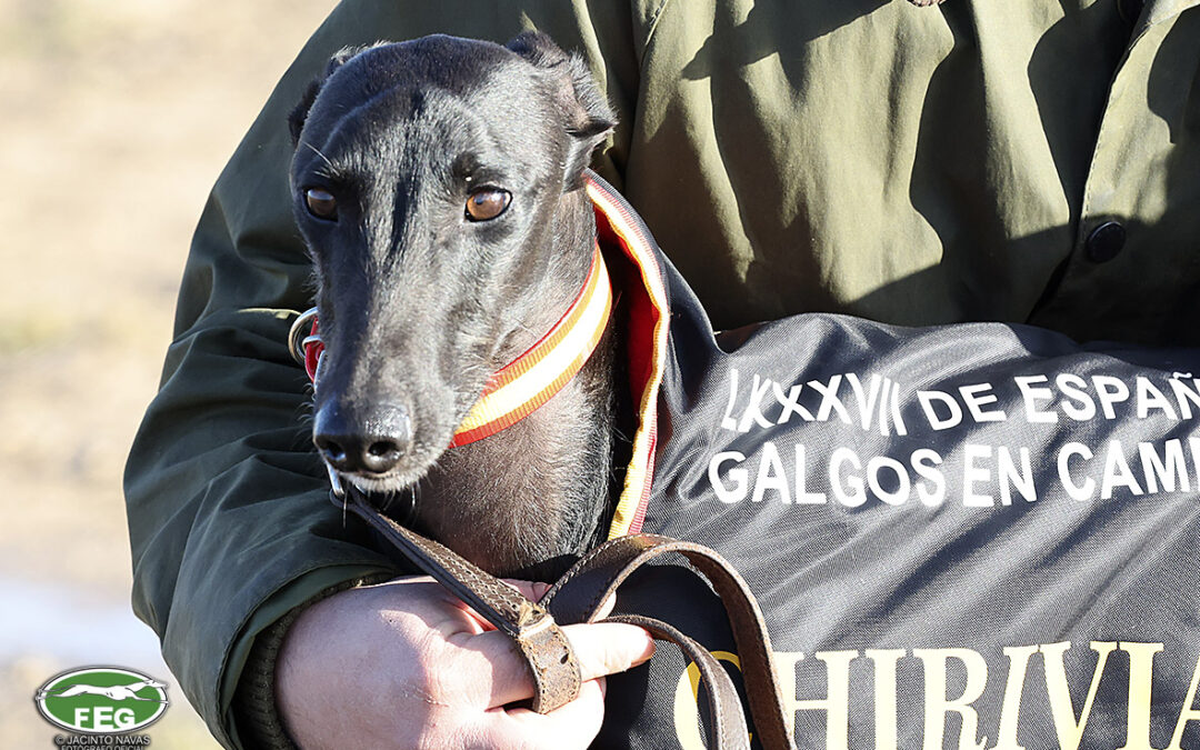 SEGURO COMBINADO Nº 2025-280008-1 CON MUTUASPORT