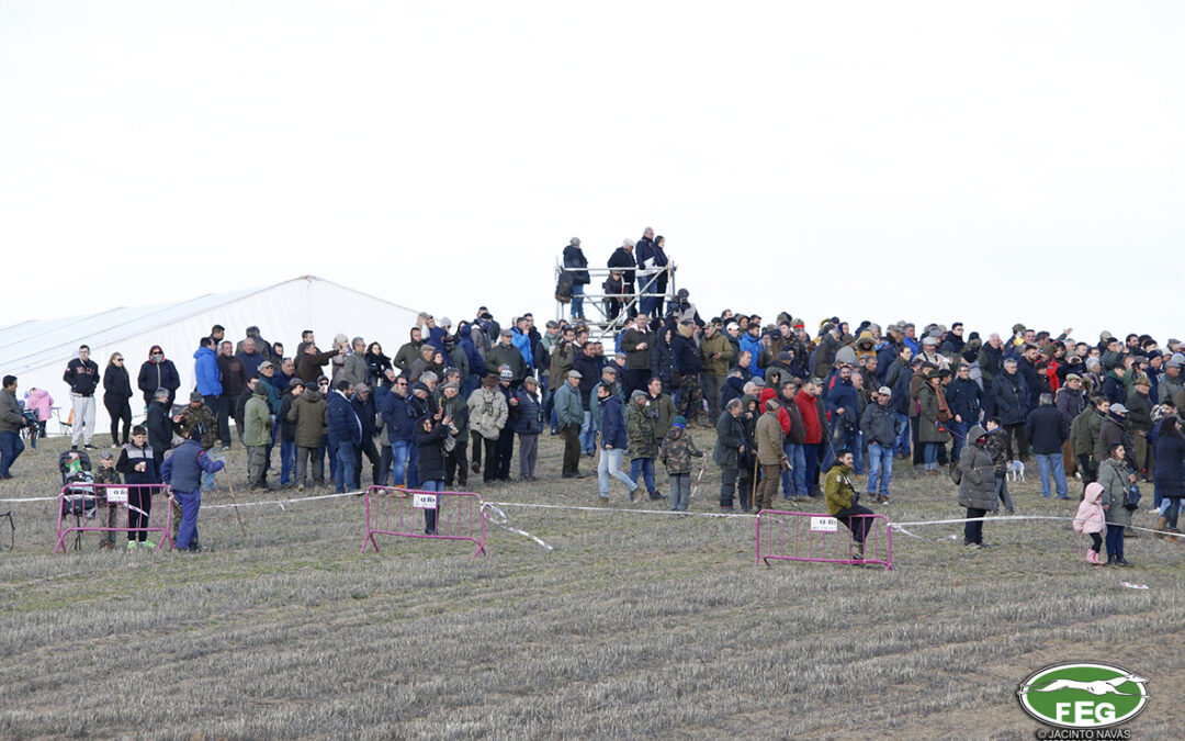 APLAZAMIENTO DE LAS SEMIFINALES DE LOS GRUPOS MIXTOS