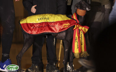 GENEALOGÍA PARTICIPANTES LXXXVIII CAMPEONATO DE ESPAÑA DE GALGOS EN CAMPO.