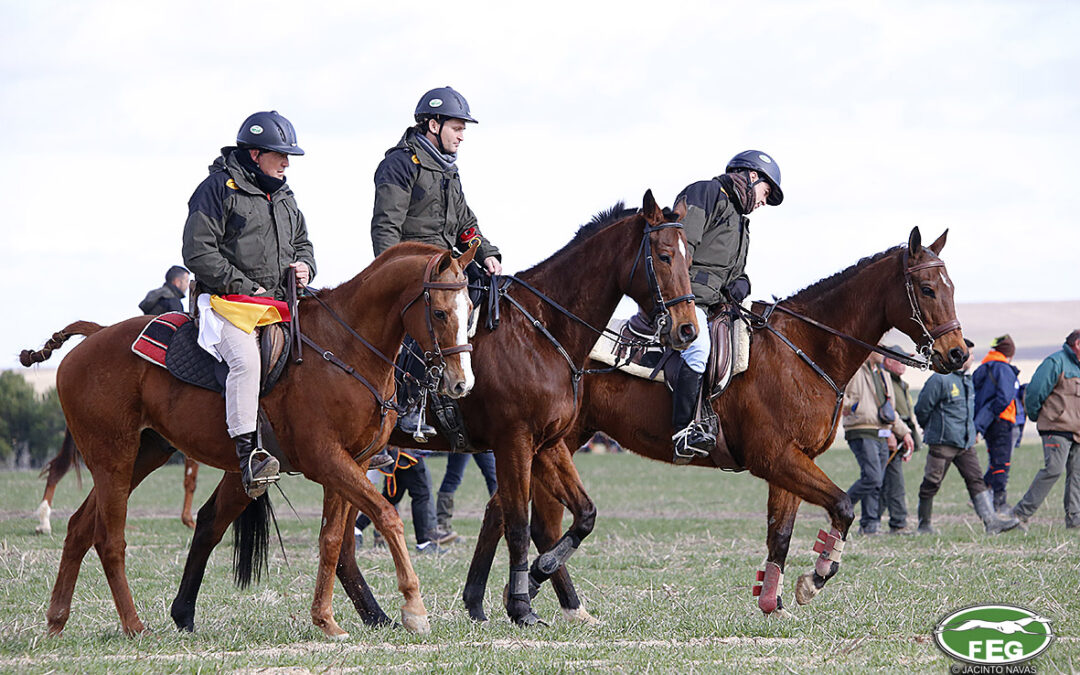 XII SIMPOSIUM NACIONAL DE CARGOS TÉCNICOS