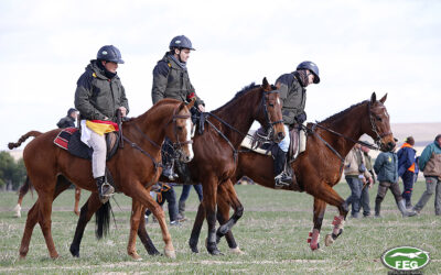 XII SIMPOSIUM NACIONAL DE CARGOS TÉCNICOS