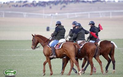 SOLICITUD DE LOS CARGOS TÉCNICOS: LXXXVIII CTO DE ESPAÑA DE GALGOS EN CAMPO