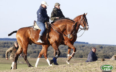 JUNTA DIRECTIVA Y COMISIÓN DELEGADA. 10/09/2025