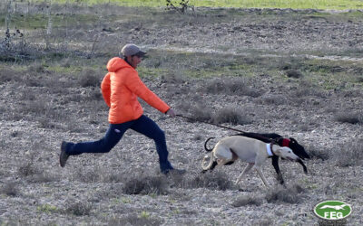 CITA SEMIFINALES GRUPOS MIXTOS.