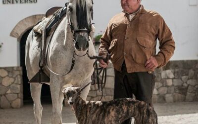 FALLECE D. ALVARO DOMECQ ROMERO