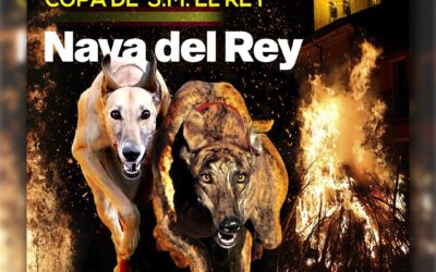 PROGRAMA DE MANO DEL LXXXVIII CTO DE ESPAÑA DE GALGOS EN CAMPO