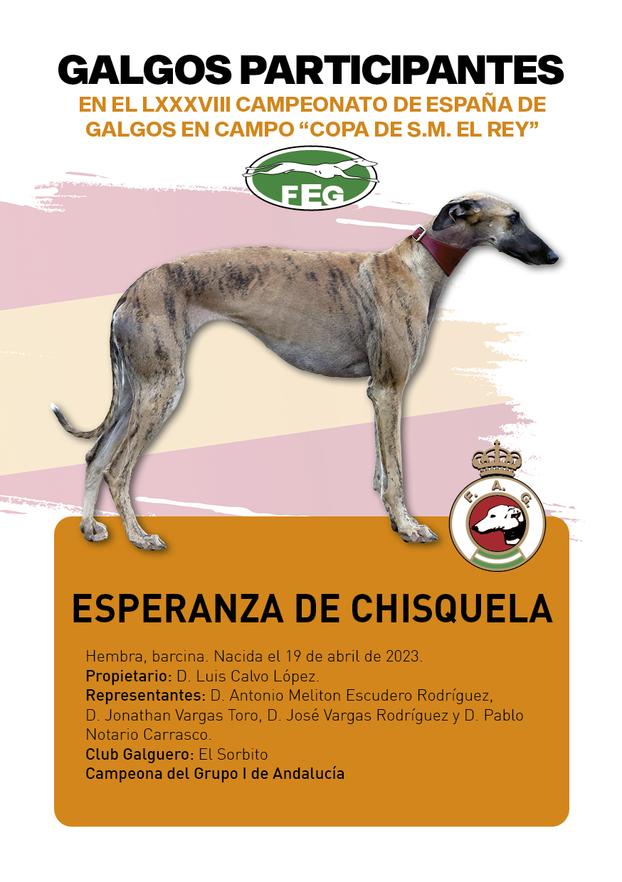 FICHAS galgos participantes LXXXVIII cpto españa1