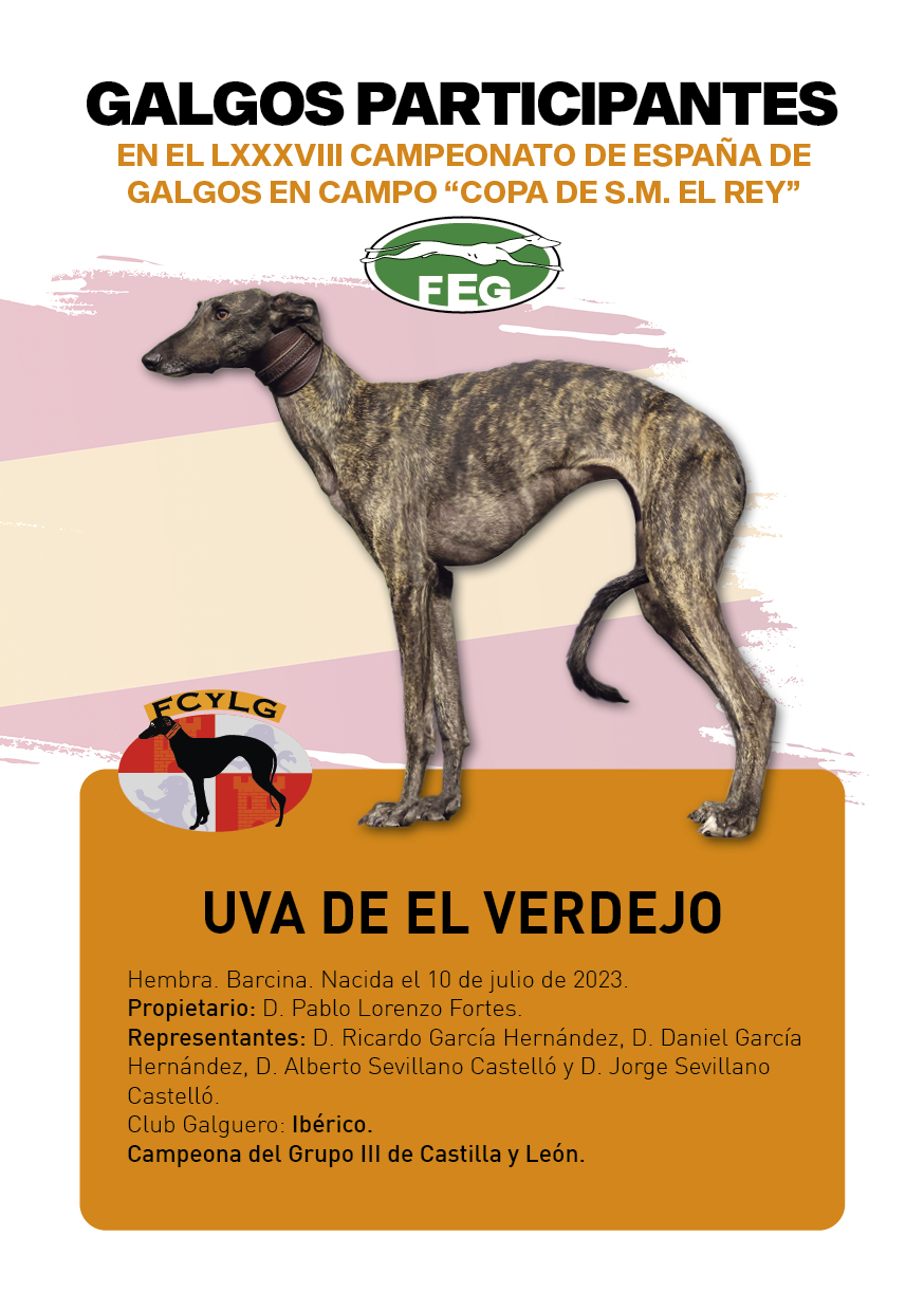 FICHAS galgos participantes LXXXVIII cpto españa11