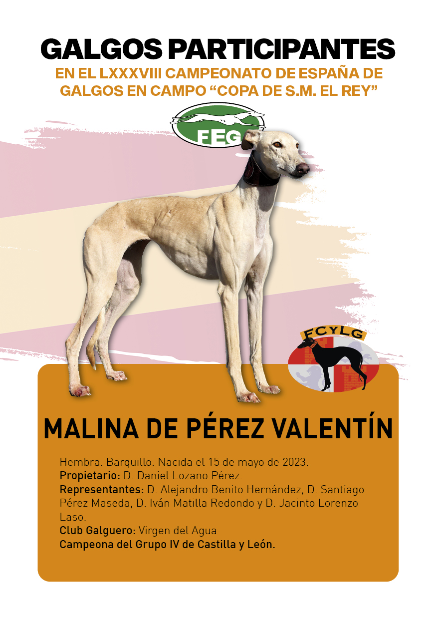 FICHAS galgos participantes LXXXVIII cpto españa12