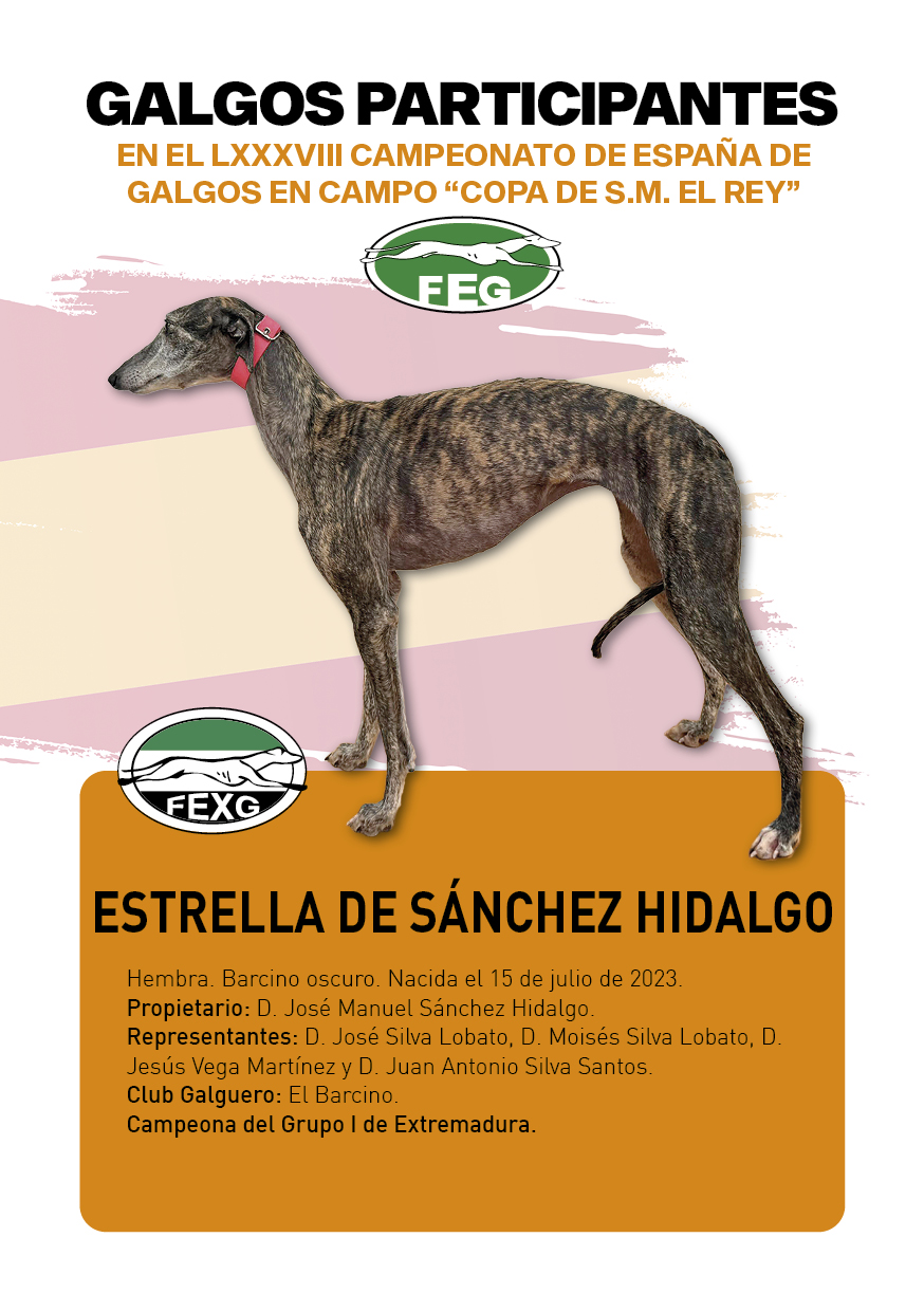 FICHAS galgos participantes LXXXVIII cpto españa13