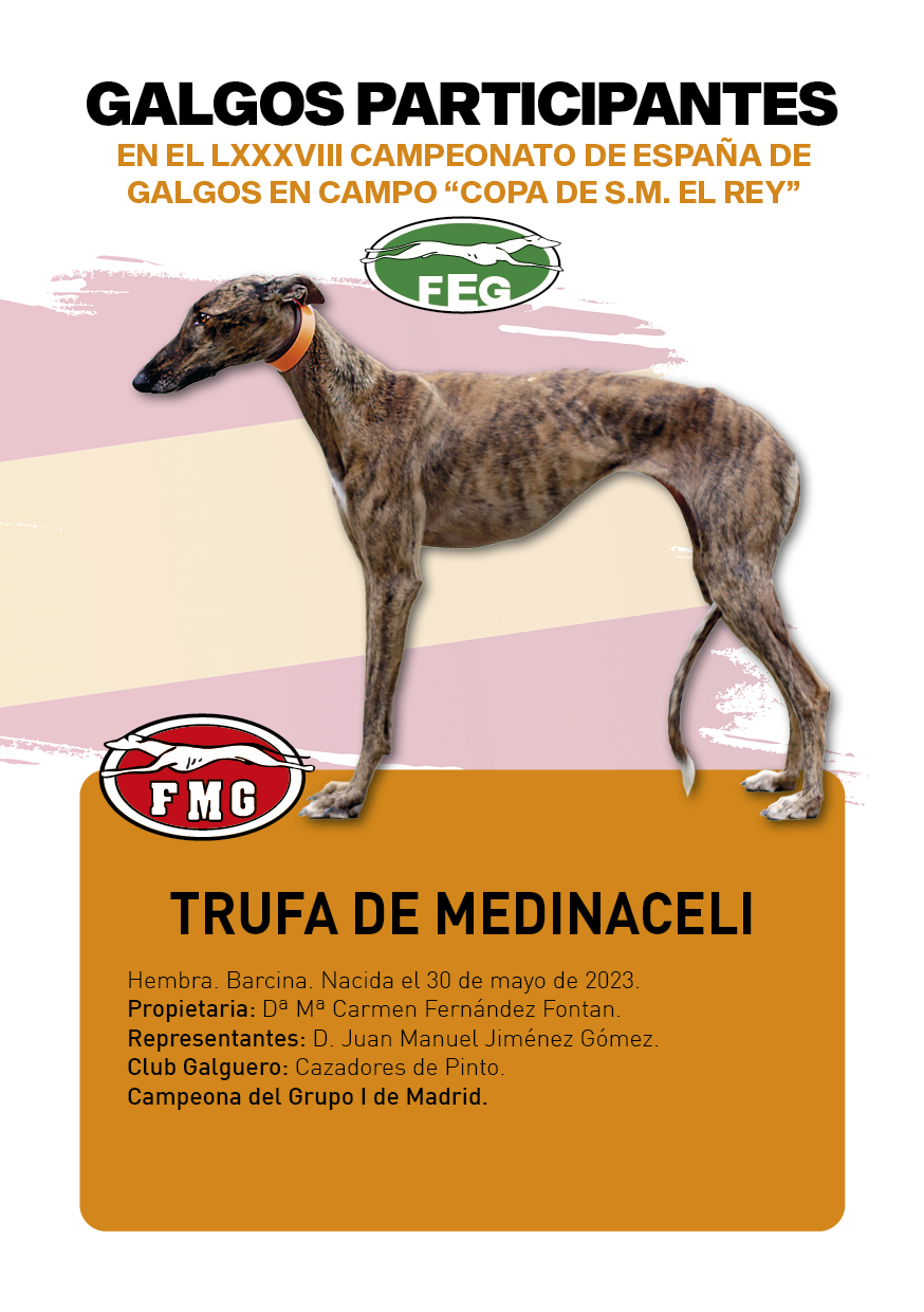 FICHAS galgos participantes LXXXVIII cpto españa15