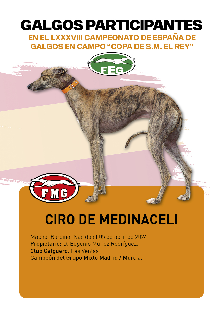 FICHAS galgos participantes LXXXVIII cpto españa16
