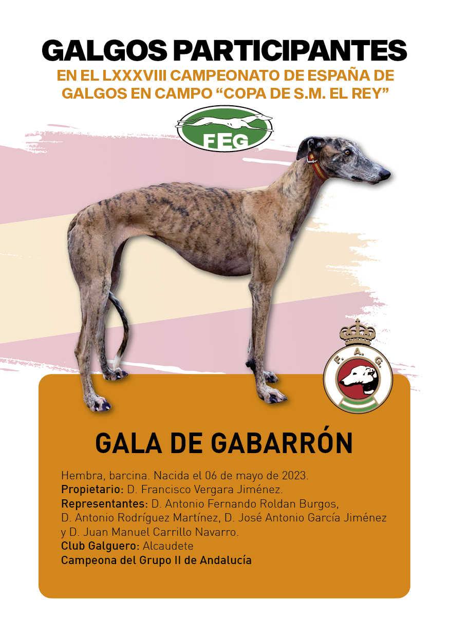FICHAS galgos participantes LXXXVIII cpto españa2