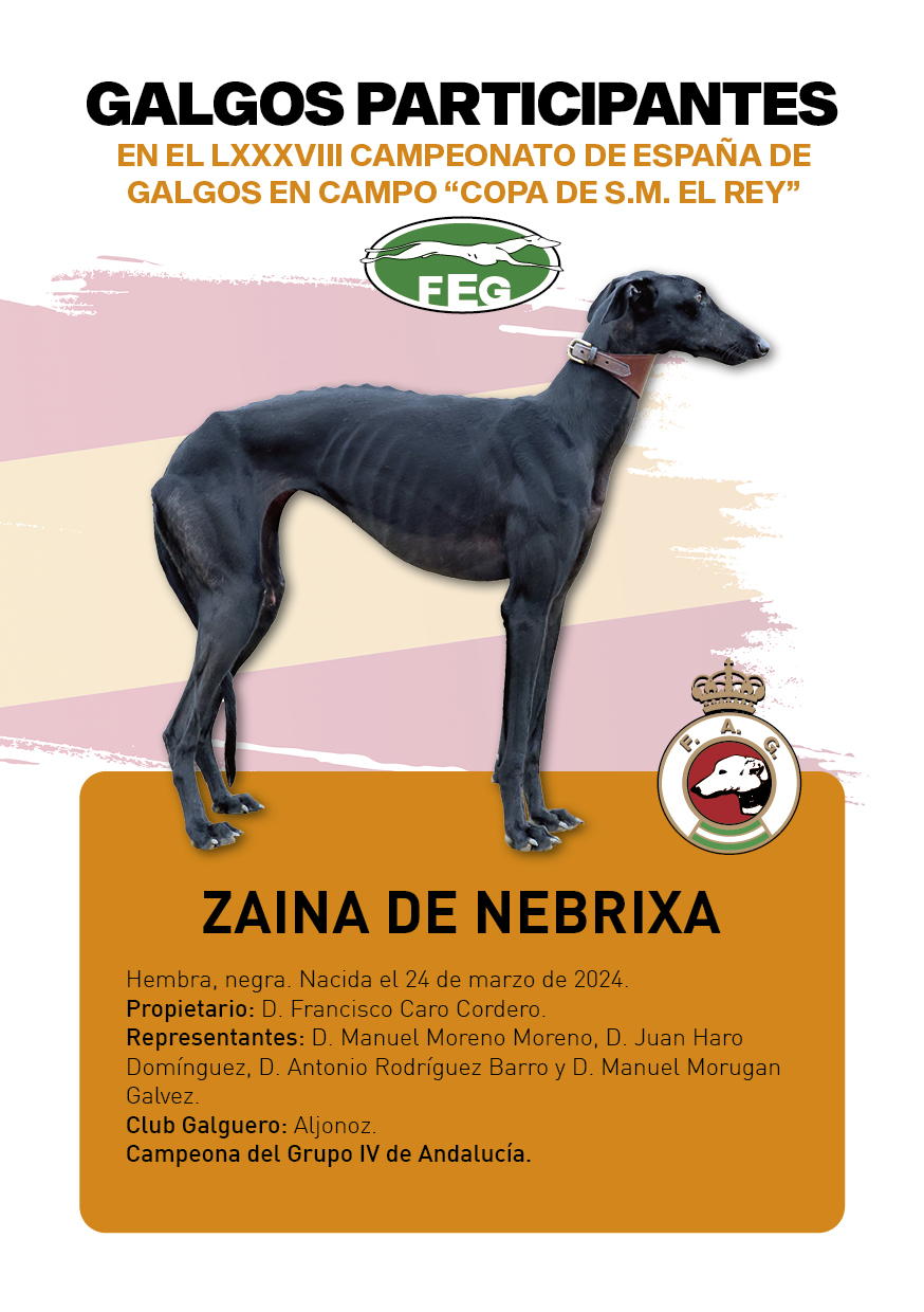 FICHAS galgos participantes LXXXVIII cpto españa4
